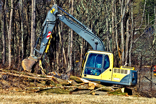 Excavator clearing a wooded lot.
